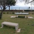 Table de ping-pong 